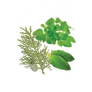 Aromatouch (masážna zmes) Aromatouch (masážna zmes)