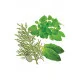 Aromatouch (masážna zmes) Aromatouch (masážna zmes)