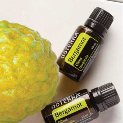 Bergamot Bergamot