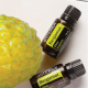 Bergamot Bergamot