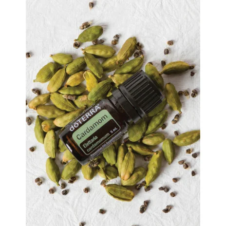 Cardamom (Kardamóm) Cardamom (Kardamóm)