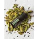 Cardamom (Kardamóm) Cardamom (Kardamóm)