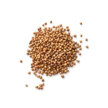 Coriander (koriander siaty- semiačko)