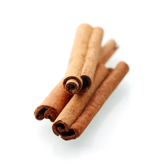 Cinnamon Bark (Škorica ceylónska)