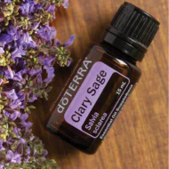 Clary Sage (šalvia muškátová) Clary Sage (šalvia muškátová)