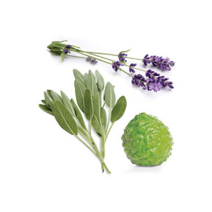 Clarycalm (mesačná zmes pre ženy)