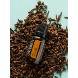 Clove (klinček) Clove (klinček)