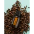 Clove (klinček)