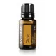 Clove (klinček)