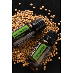 Coriander (koriander siaty- semiačko)