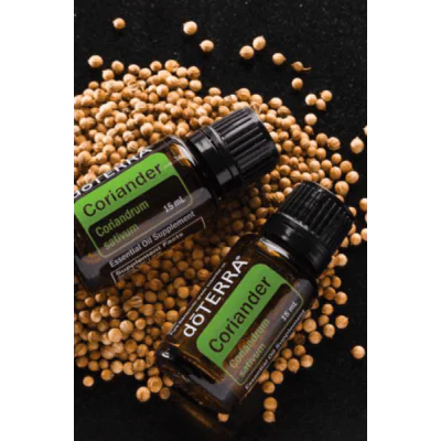 Coriander (koriander siaty- semiačko)