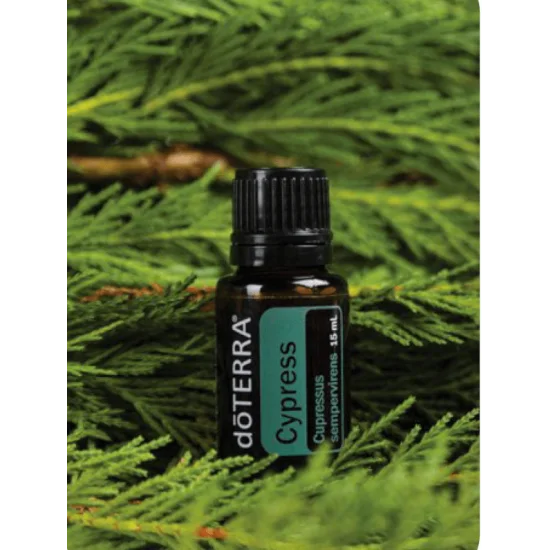 Cypress (Cyprus) Cypress (Cyprus)