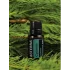 Cypress (Cyprus)