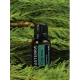 Cypress (Cyprus) Cypress (Cyprus)