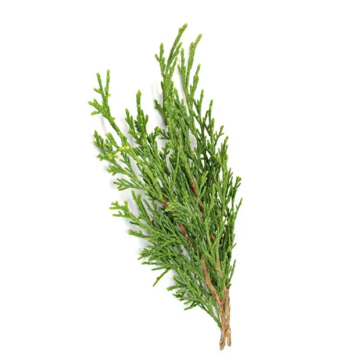 Cypress (Cyprus) Cypress (Cyprus)