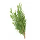 Cypress (Cyprus) Cypress (Cyprus)