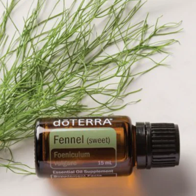 Fennel (fenikel) Fennel (fenikel)