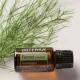 Fennel (fenikel) Fennel (fenikel)