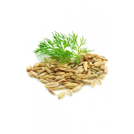 Fennel (fenikel) Fennel (fenikel)