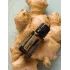 Ginger (Zázvor)