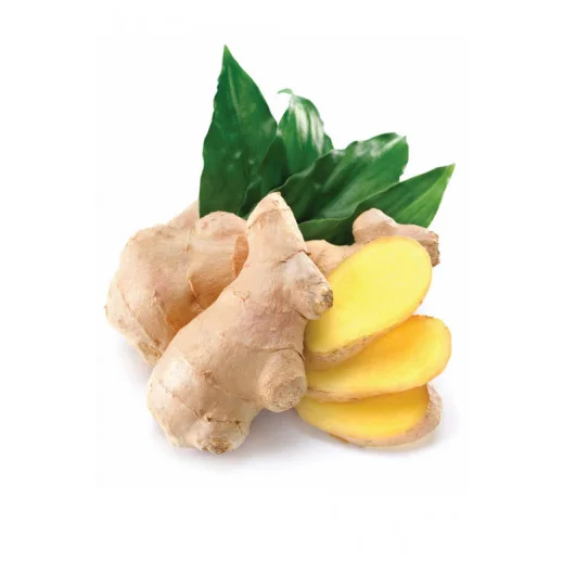 Ginger (Zázvor) Ginger (Zázvor)