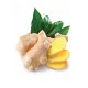 Ginger (Zázvor) Ginger (Zázvor)