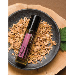 InTune® Roll-On 10ml (zmes na sústredenie) InTune® Roll-On 10ml (zmes na sústredenie)