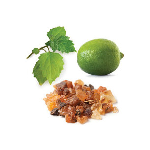 InTune® Roll-On 10ml (zmes na sústredenie) InTune® Roll-On 10ml (zmes na sústredenie)