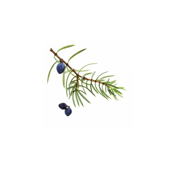 Juniper Berry doTERRA esenciálny olej