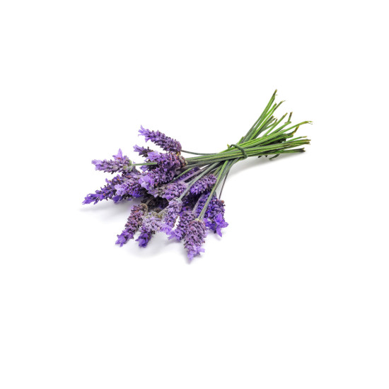 Lavender (Levanduľa)