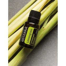 Lemongrass (Citrónová tráva)