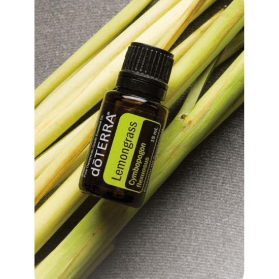 Lemongrass (Citrónová tráva) Lemongrass (Citrónová tráva)