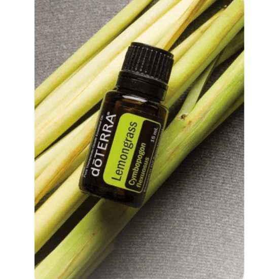 Lemongrass (Citrónová tráva) Lemongrass (Citrónová tráva)