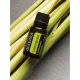 Lemongrass (Citrónová tráva) Lemongrass (Citrónová tráva)