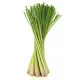 Lemongrass (Citrónová tráva) Lemongrass (Citrónová tráva)
