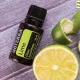 Lime (Limetka) Lime (Limetka)