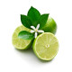 Lime (Limetka) Lime (Limetka)