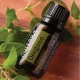 Oregano Oregano
