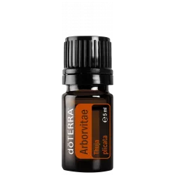 Tuja (Arborvitae)