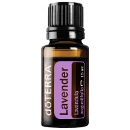 Levanduľa (Lavender) Levanduľa (Lavender)