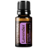 Levanduľa (Lavender)