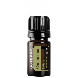 Kardamón (Cardamom)