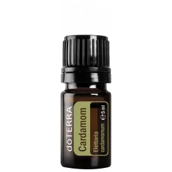 Kardamón (Cardamom)