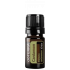 Kardamón (Cardamom)