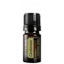 Kardamón (Cardamom)