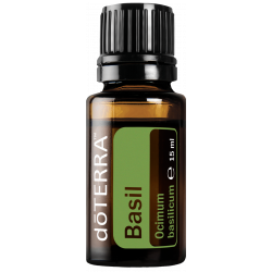 Bazalka (Basil) Bazalka (Basil)