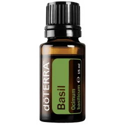 Bazalka (Basil)