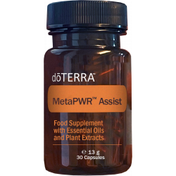 MetaPWR™ Assist MetaPWR™ Assist