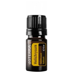Helichrysum Helichrysum
