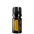 Helichrysum